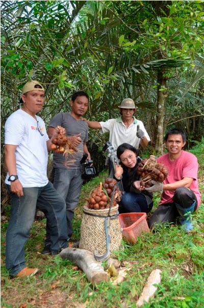 Photos of KOBISA KOPI BIJI SALAK PEGUNUNGAN PANGU