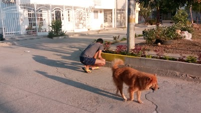 Photos of VILLAS DE LA CANDELARIA Park