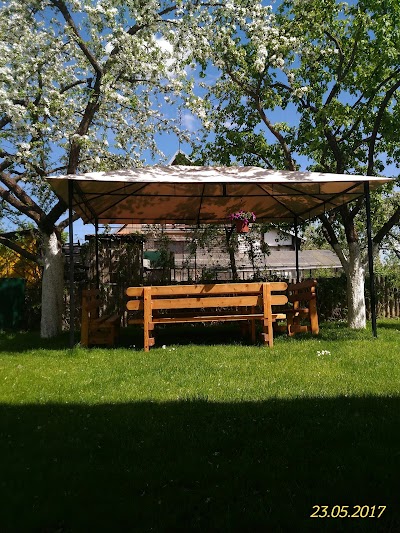 Photos of tautvis Garden