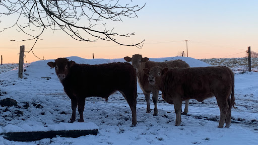 Photo de Ferme De La Boudinière