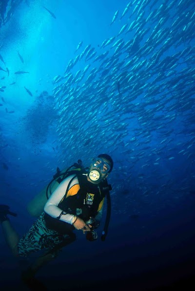 Photos of Tours Cabo