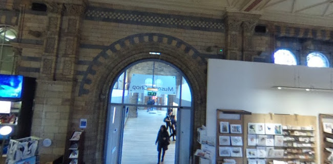 The Natural History Museum Shop