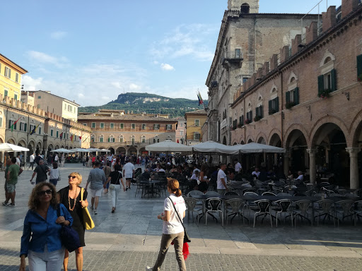 Le Canterine - Visual