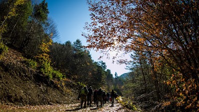 Karaca Yaylası