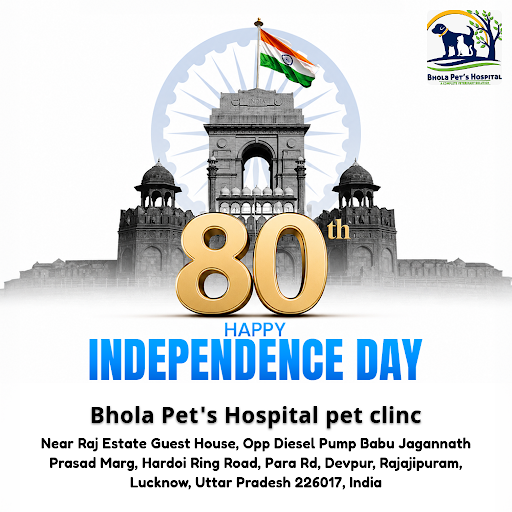 Celebrate Independence Day with gratitude for our loyal pets. Trust Bhola Pet's Hospital, the bes… post image