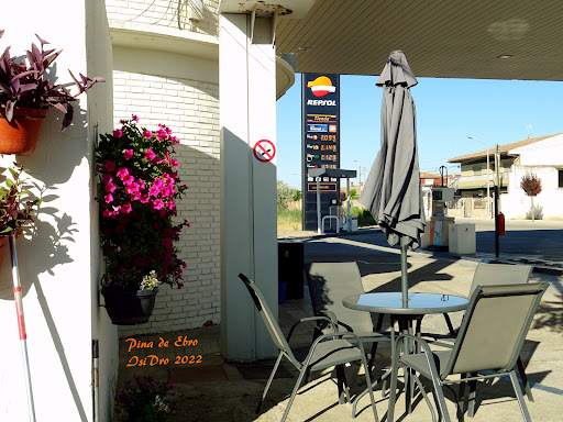 GASOLINERA REPSOL ES LAGUNA SC - Thumbnail