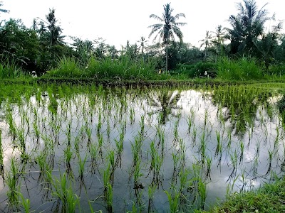 Photos of Sukanta Wahyu Sculpture Park