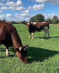 Photo n°1 de Ferme des Landières à Ligné (Agriculteur)