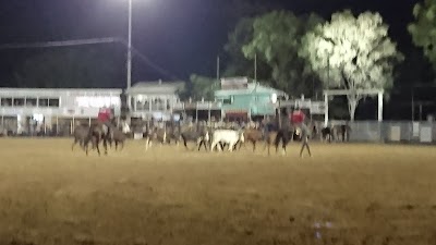Photos of Mareeba Rodeo & Festival