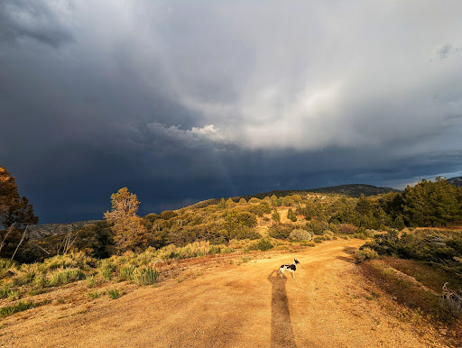 Big Pines Scenic Route - Thumbnail