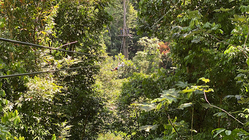 Junglequi Zipline Park - Thumbnail