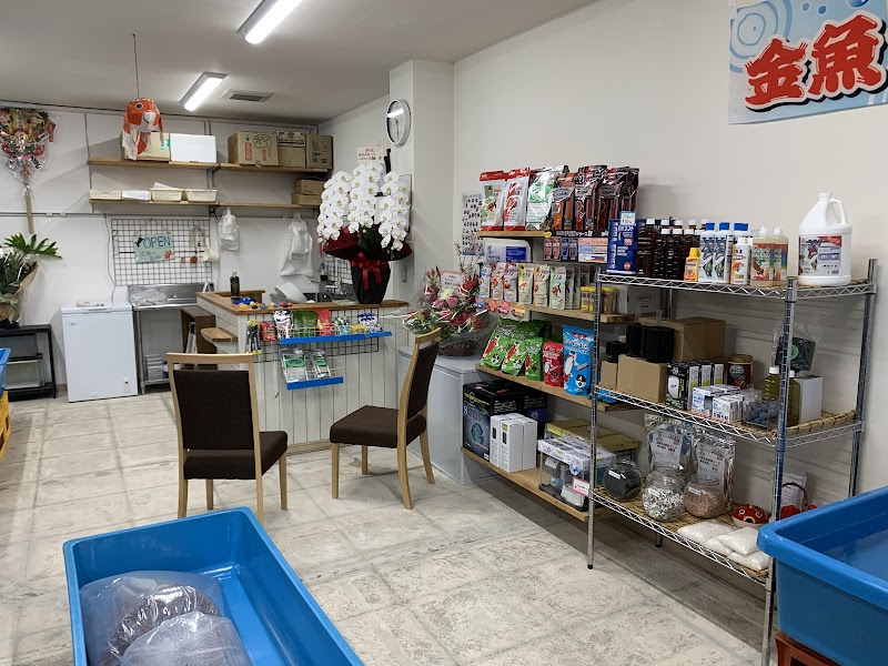 金魚専門店 きんとと、