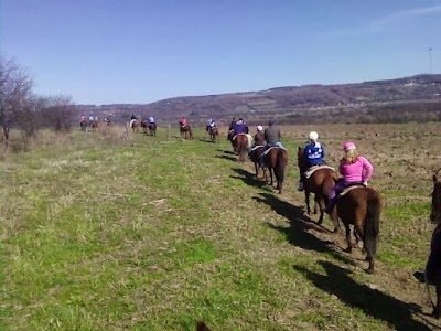 Photos of Route 80 Stables