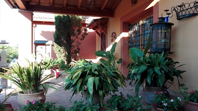 Photos of Olivar de las Mangas