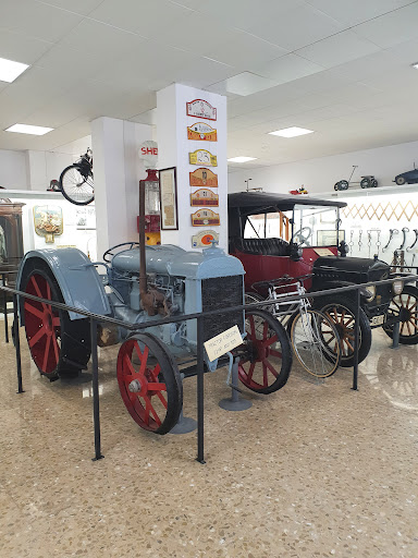 Museo Boncompte - Thumbnail
