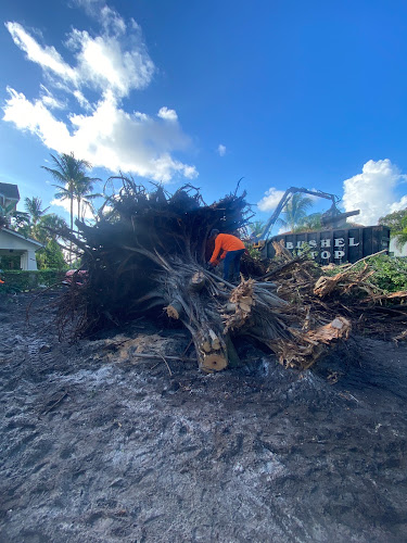 Strickly Stump Removal LLC