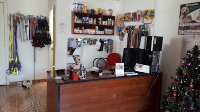 veterinary-care