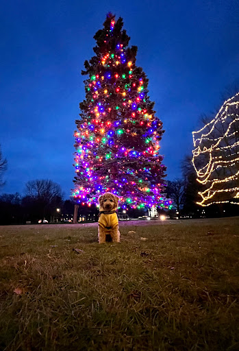 North Andover Town Common - Thumbnail