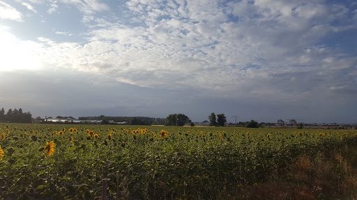 Ermler Immobilien - Thumbnail