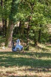 Photo n°25 de Chambres d'hôtes La Belle Epoque à Camboulit (Restaurant français)