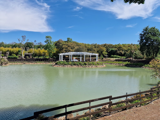 Ristorante Lago Incantato - Thumbnail