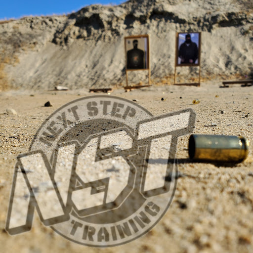 Next Step Training