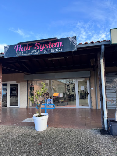 Hair system - Thumbnail