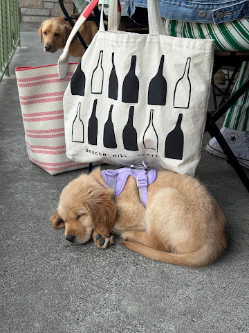 Little Thing Wine by null