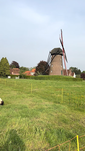 Beoordelingen van Scherpenbergmolen in Antwerpen - Museum