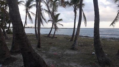 Photos of El bosquecito del malecon