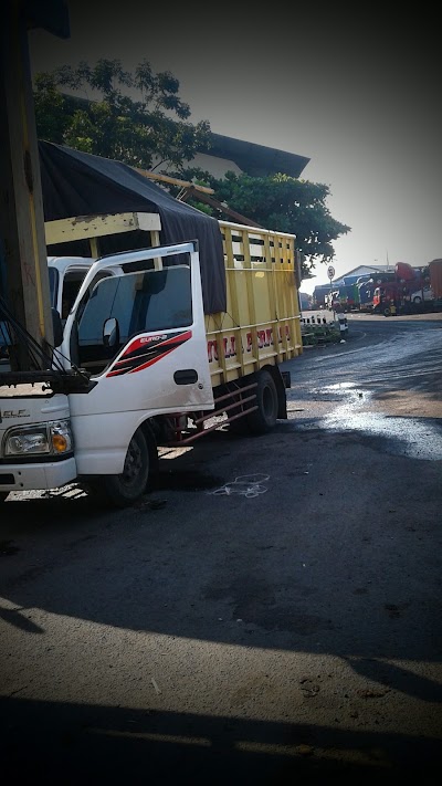 Photos of Rifat Indonesia