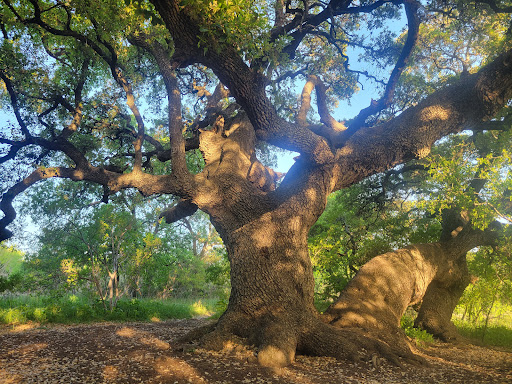 Bauerle Ranch Park - Visual