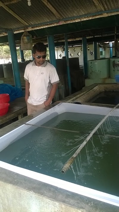 Photos of Jessore Hatchery