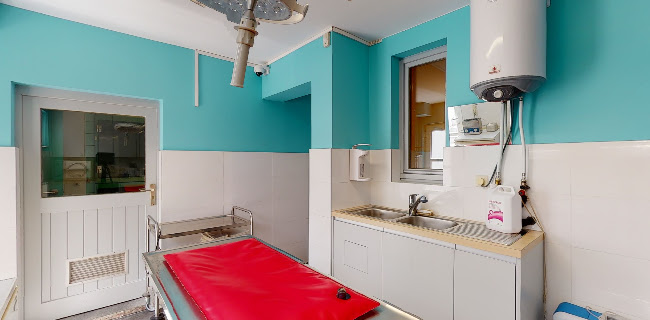 Benoit Deridder Veterinary Office - Dierenarts