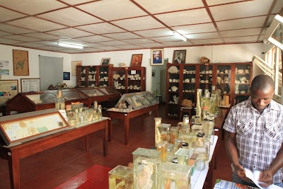 Photos of marine biology station Eduardo Mondlane