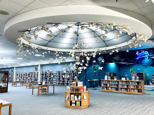 Webster Public Library - Visual