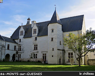 Photo n°1 de Domaine de Bourgville à Monts-sur-Guesnes (Lodge)