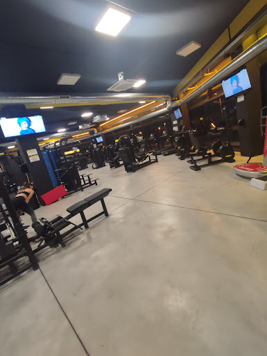 Fit Express Cesena - Visual