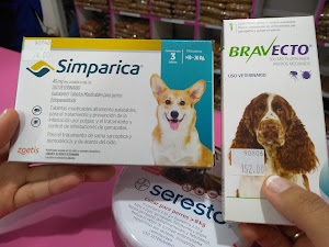 VETERINARIA COMO PERRO Y GATO 5