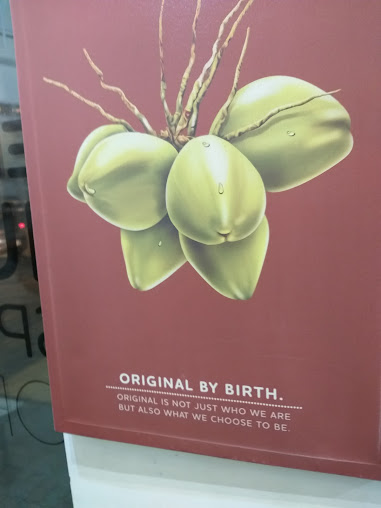 Af1qipmcj6iiqla6l87cpkw2j 1ugvtx2thqk2kwoofc=s508 K No