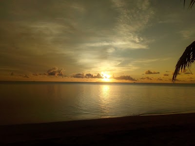 Photos of Leleuvia Island Resort