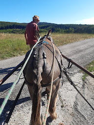 Photo n°6 de Pardigon Nadia Les équipages du jougnier à Fraisse-sur-Agout (Ferme)