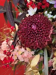 Photo n°32 de Figa e Mimosa | Fleuriste Metz à Metz (Service de plantes d'intérieur)