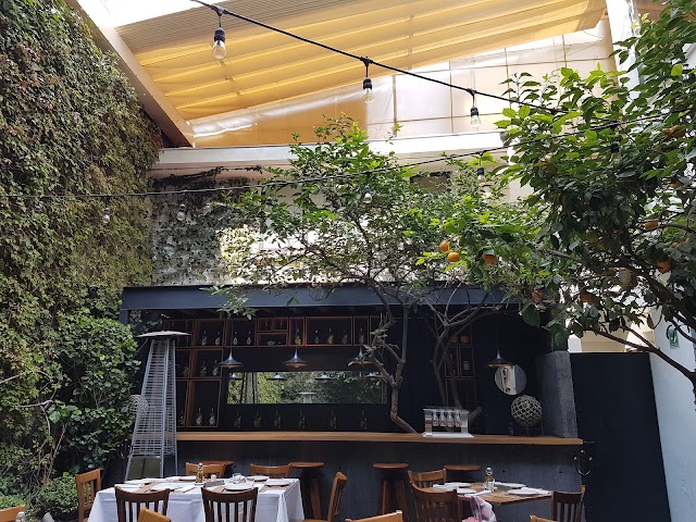 LAMPUGA POLANCO