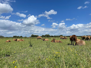 Photo n°6 de FERME DU POIRIER à Isdes (Magasin d'alimentation bio)