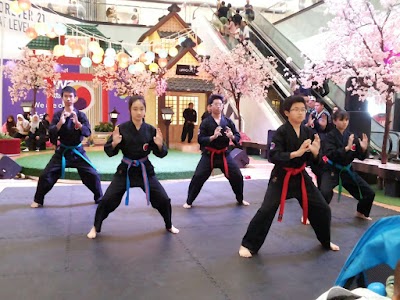 Photos of Hapkido dojang-swallow MIRACLE WONDERFUL PIK
