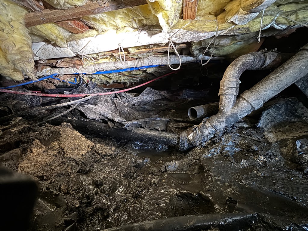 Harris Restoration photo