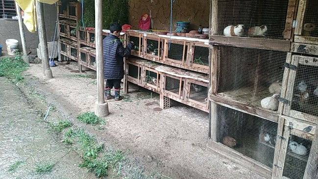 Comentarii opinii despre Hotel Santa Cruz