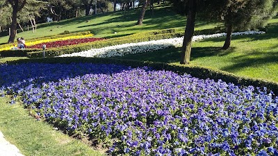 Photos of EKINOKS beylikd&uuml;z&uuml;