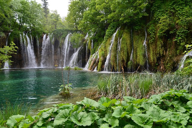 Lacs de Plitvice